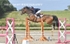 BPP_5357