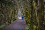 Kielder-1149