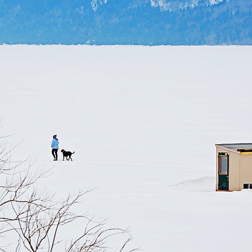 A dog and it's master take a stroll past a lone ice shack near Gondola Point in Kings County, New Brunswick.