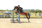 SBM_006934