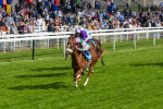 170523-Race 6-Mon Na Slieve-0793