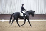 SBM_006481
