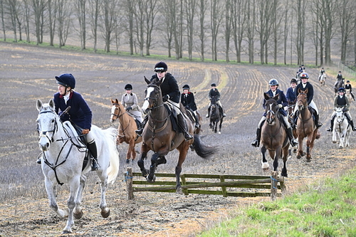 WJ6_8608