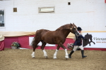 SBM_23661