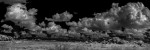 Sevenmile Slough II