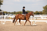 SBM_06706