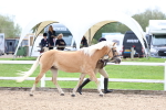 SBM_03908
