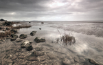 Grey Sea