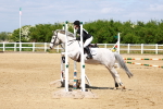 SBM_007621