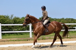 Class 10: Ridden Veteran portfolio