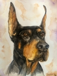 Letta