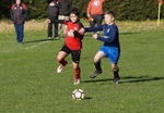 DSC02330
