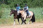 WJ7_8400