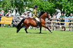 SBM_07902