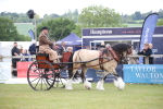 SBM_05622