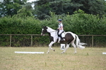 WJ6_5391