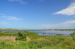 Shabla wetlands, Dobrich Province, Bulgaria