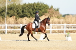 SBM_016903