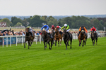 290826-Race 1-Trilby-5226