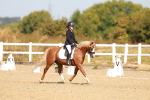 SBM_017585