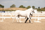 SBM_04670