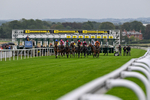 Race 2 2.20pm Napoleons Casino And Restaurant Hull Handicap portfolio
