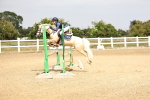 SBM_001976