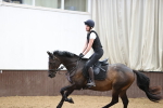 SBM_009604
