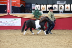 SBM_04197