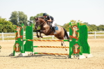 SBM_000765