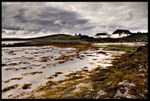 Berneray - North Uist