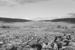 JL - 3.12.22 158855 & 158902 10:09 Appleby - Leeds, Ribblehead