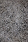 SBM_005627