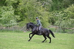 WJ6_3465