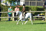 SBM_54048