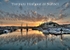 12 left RSPO33 - Torquay Harbour sunset