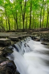 Stepping Stones II