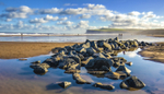 Yorkshire's Jurassic Coast