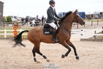 Cls 23, Amateur Tour with Jump Off portfolio