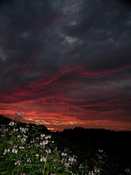 Photos of the East portfolio