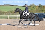 BPP_8286