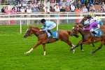 080925-Race 6-Rhapsody-7795