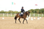 SBM_008866