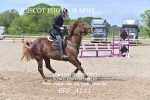 BPP_4111