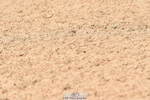230720A-105102-02250