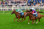 250725-Race 5-Sand Gazelle-0726