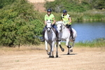 WJ6_8874