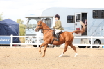 SBM_07444
