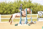 SBM_002645