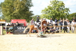 SBM_39453